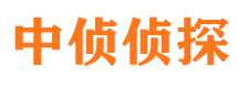 安龙侦探公司